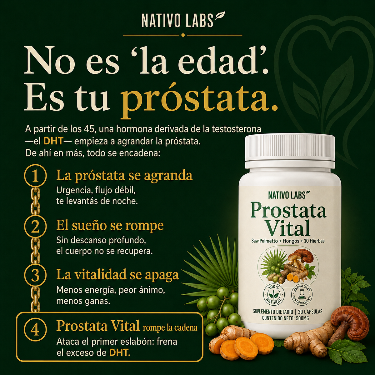 nativo labs prostata vital