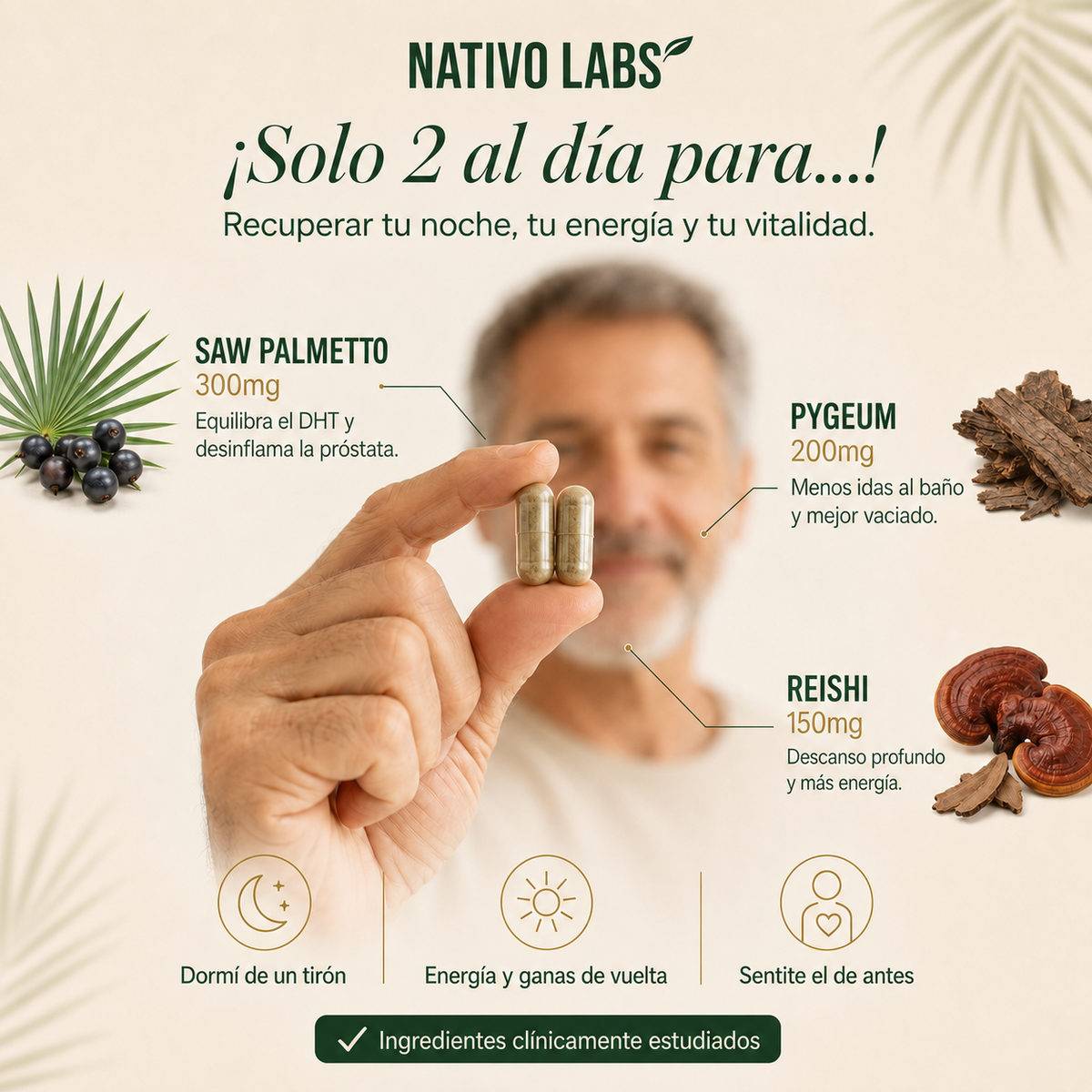 nativo labs prostata vital